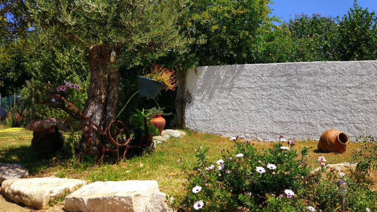 Louro'S Villa - 12130Al Cantanhede Luaran gambar
