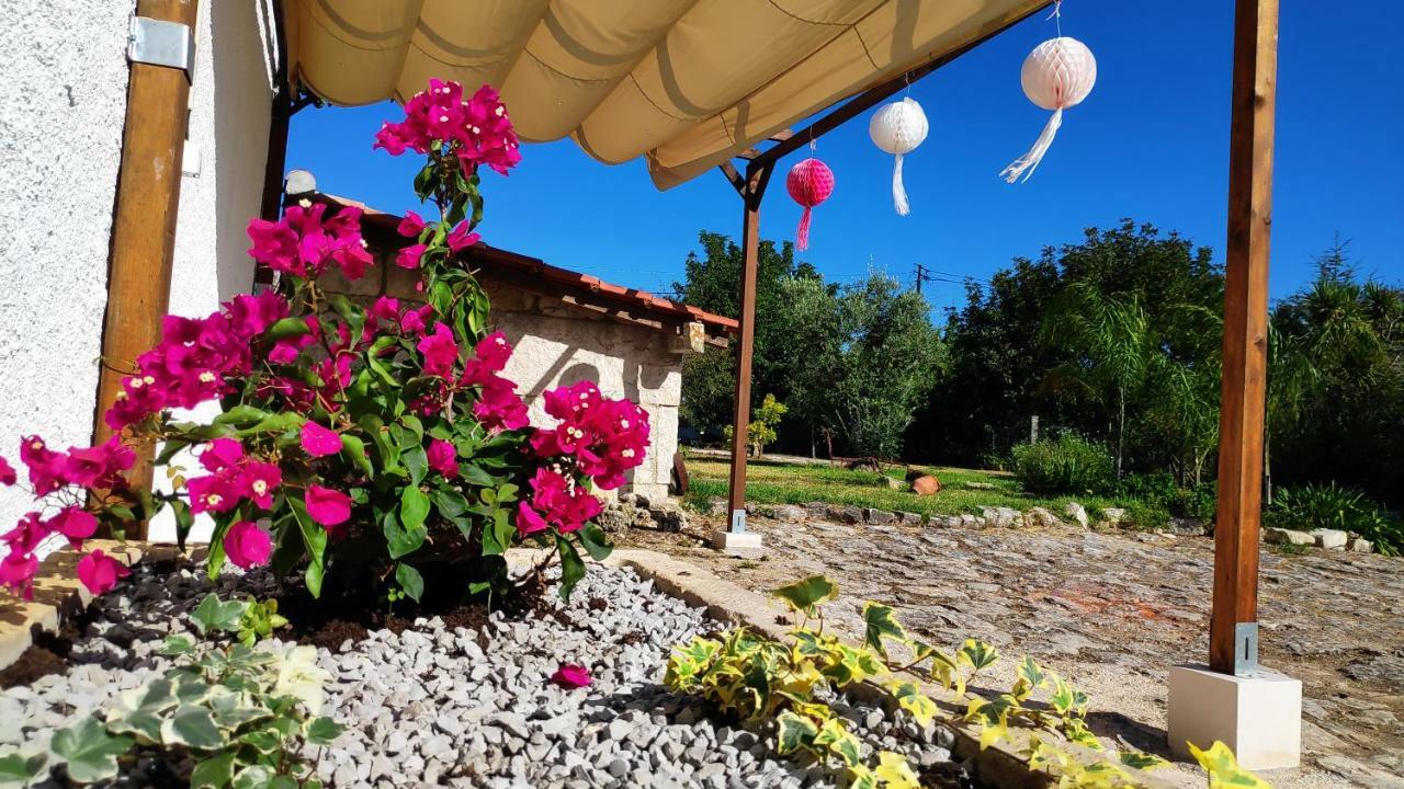 Louro'S Villa - 12130Al Cantanhede Luaran gambar